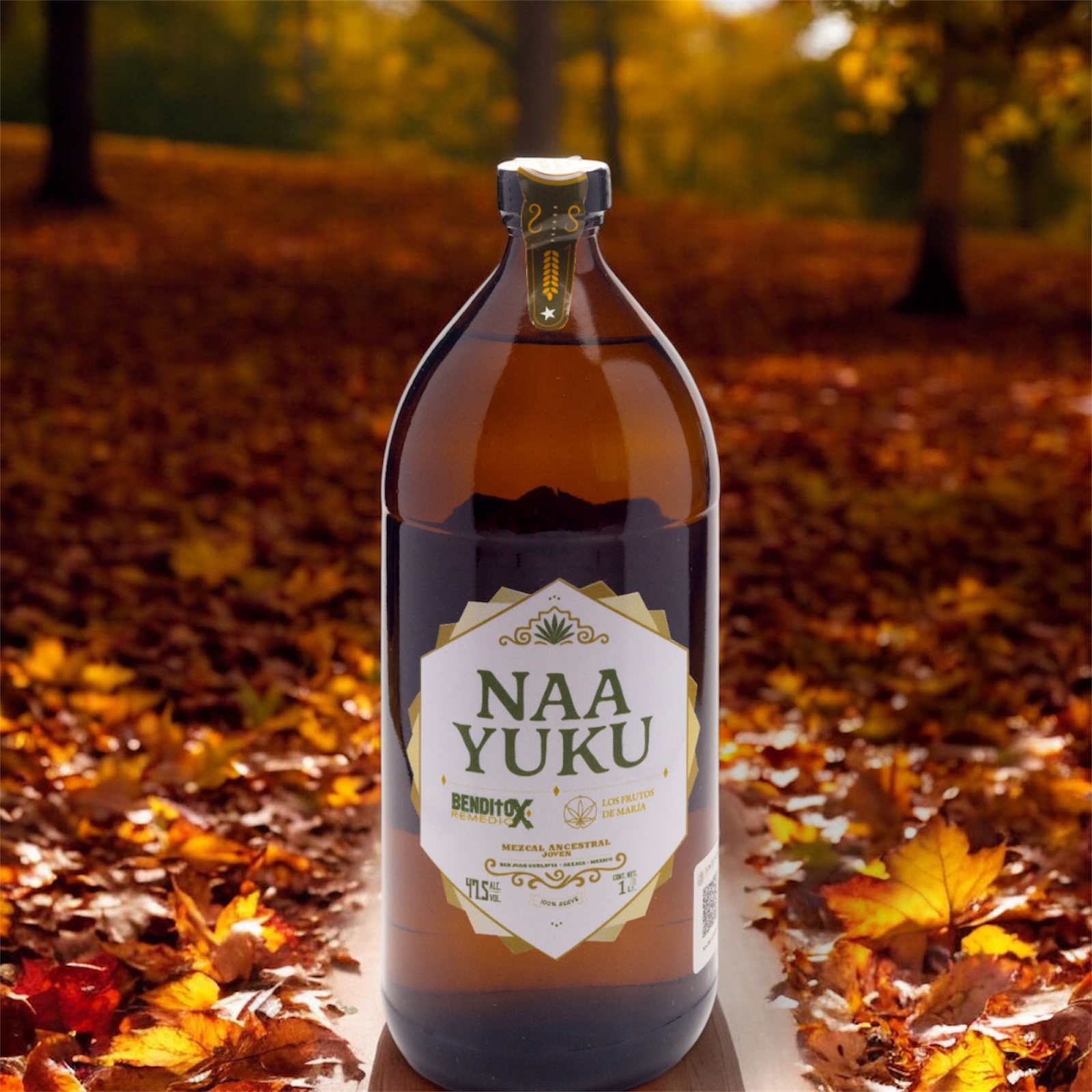 Home photoroom 20260118 095337